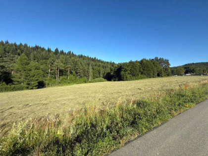 Urokliwa działka z potokiem - Berezka