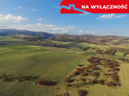 Działa w Grywałdzie z możliwością uzyskania WZ