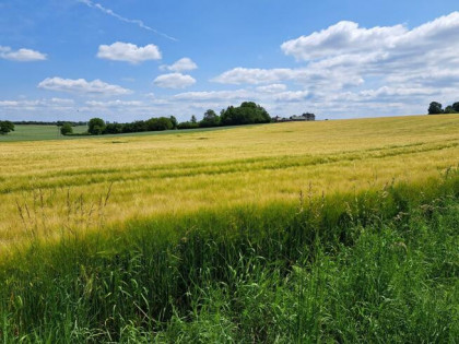 Działka budowlana Sułoszowa