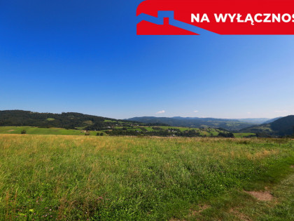 Działa w Grywałdzie z możliwością uzyskania WZ