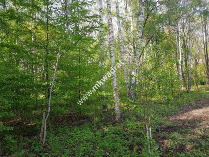 Okazja ! Działka budowlana 3218 m2 Radonie z MPZP