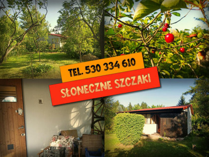 Słoneczna działka 800m² / ROD Elektron Szczaki