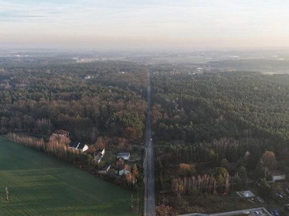 Las na sprzedaż - Koźlątków, gm. Lisków