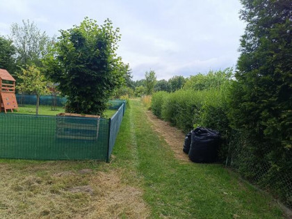 Działka Rod Hortensja Kielce