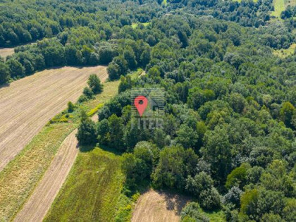 Działka leśna Poręba Spytkowska gm. Brzesko