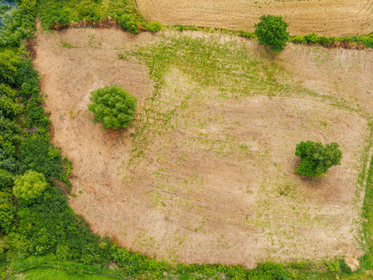 Działka rolno-budowlana w Tuchowie!