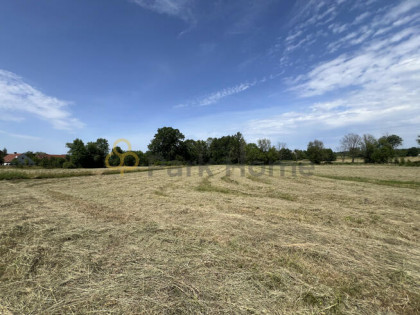 Działka rolna Chotków gm. Brzeźnica,