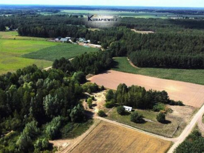 59 arów na Kurpiach - OKAZJA 15 zł/m²