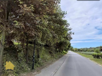 Działka siedliskowa Dys gm. Niemce