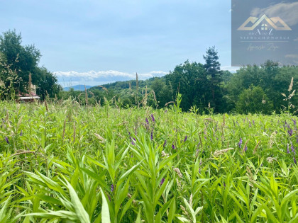 Działka Faliszewice