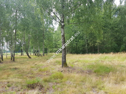 Jaktorów Budy Grzybek 3000 m2