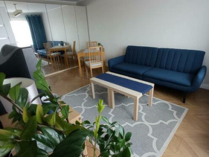 Do wynajęcia 2 pokojowe /Oddzielna kuchnia 44m2 /Po remoncie