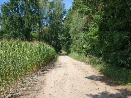 Nieruchomość niezabudowana od Syndyka - Rzymy-Rzymki