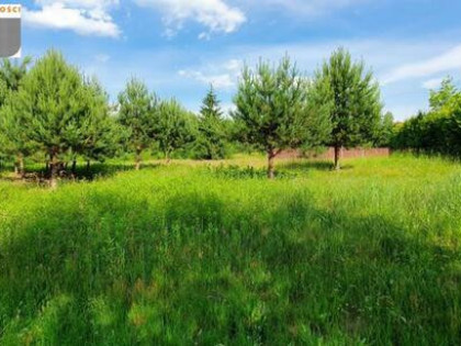 Działka budowlana Wiktorów gm. Leszno, .