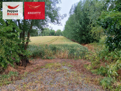 Działka Ostaszewo ul. Długa