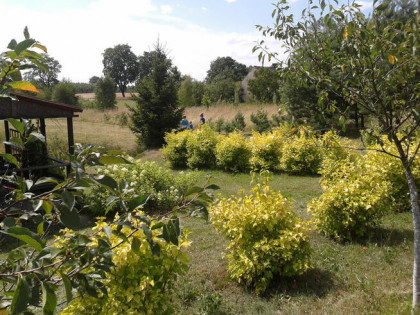 Kaszuby. Działka budowlana. Warunki Zabudowy.