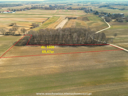 Działka rolna w Jelczy w gminie Charsznica - www.wachowicz.nieruchomosci.pl