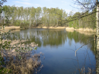 Dzialka rekreacyjno-budowlana nad oczkiem wodnym.
