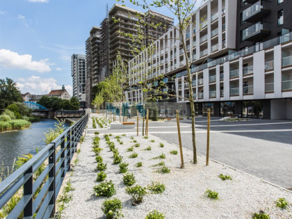 Lokal Wrocław Stare Miasto