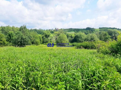 Działka rolna Borek Stary gm. Tyczyn