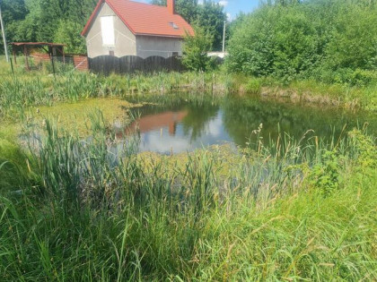 Działka ze stawem w otulinie lasów