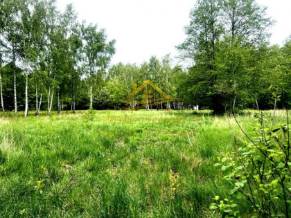 Działka siedliskowa  gm. Jaktorów