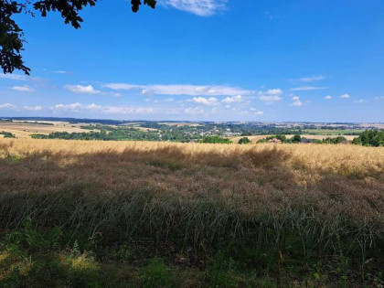 Działka rolna Iwanowice Dworskie gm. Iwanowice