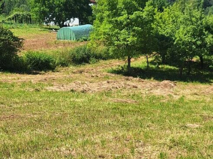 DZIAŁKA 1,12 HA KLĘCZANY GM. CHEŁMIEC