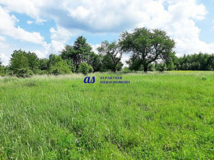 Działka Hermanowa gm. Tyczyn Pańskie Pola-Gradkowiec