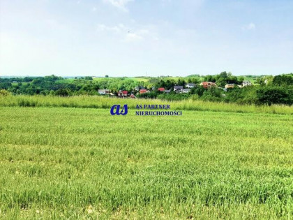 Działka Wola Rafałowska gm. Chmielnik