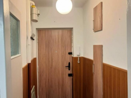 Wynajem kawalerka Katowice