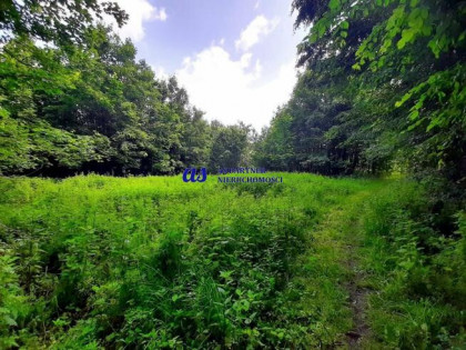 Działka rolna Borek Stary gm. Tyczyn