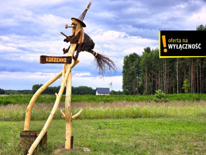 Działka Korzenno ul.  