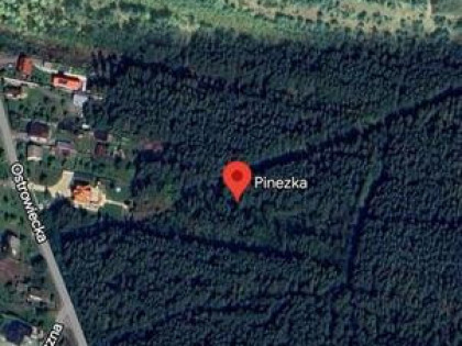 Dzialka w Milkowskiej Karczmie