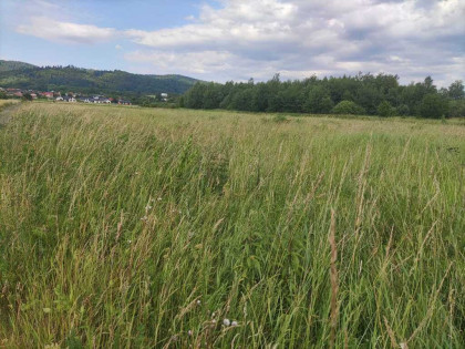 Działka pod budowę w spokojnej okolicy - Sanok!