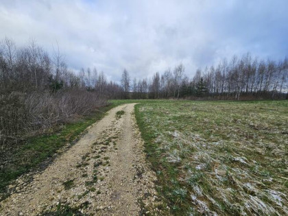 Syndyk sprzeda udział 1/2 w nieruchomości