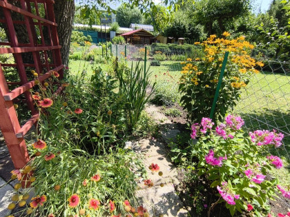 Urokliwa działka ROD "Kopernik"