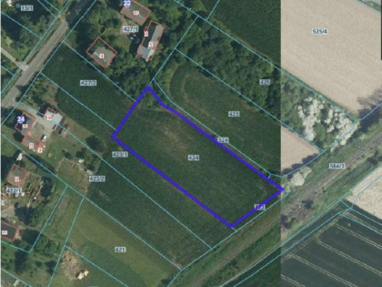 Syndyk sprzeda udział w działce rolnej