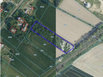 Syndyk sprzeda udział w działce rolnej nr 426