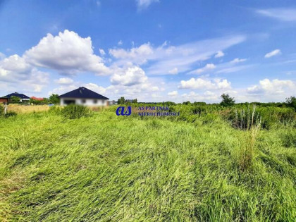 Działka Trzciana gm. Świlcza