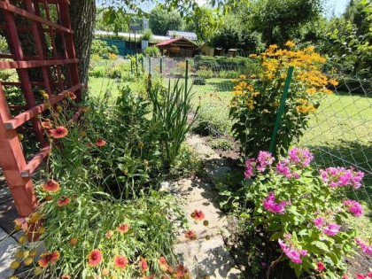 Urokliwa działka ROD Kopernik