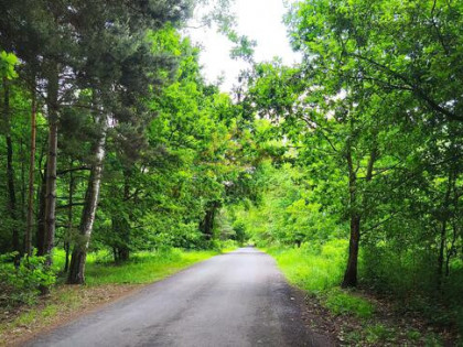 Działka budowlana Grodzisk Mazowiecki