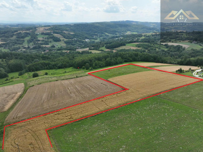 Działka Piotrkowice