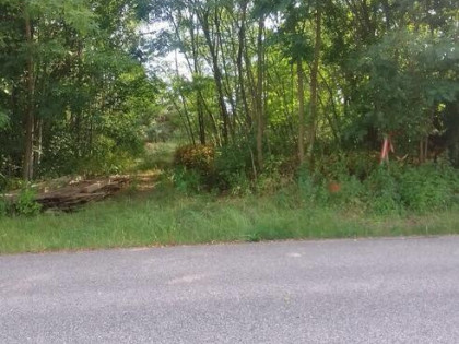 Duża działka budowlana 5026m² z mediami i studnią