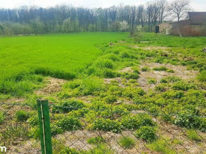 Duża działka budowlana 28 ar Puszyna [ wieś, przy lesie]