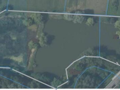 Dwa stawy działka,9500m2,
