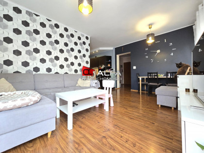 Mieszkanie Świdnica