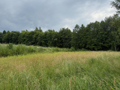 Działka Pawlikowice