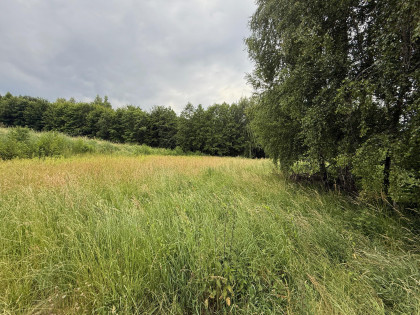 Działka Pawlikowice