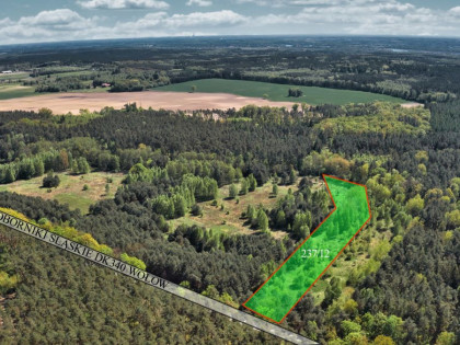 Działka Rościsławice ul.  